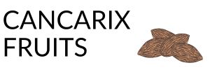 Logo Cancarix fruits