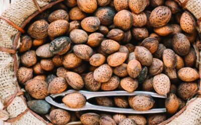 Cosecha de almendras